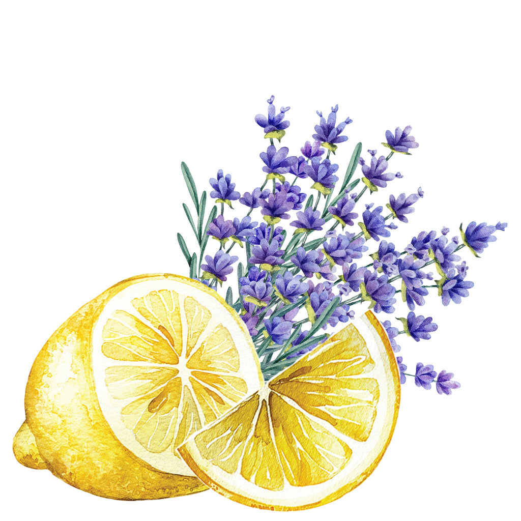 Dish Soap | Lavender & Lemon