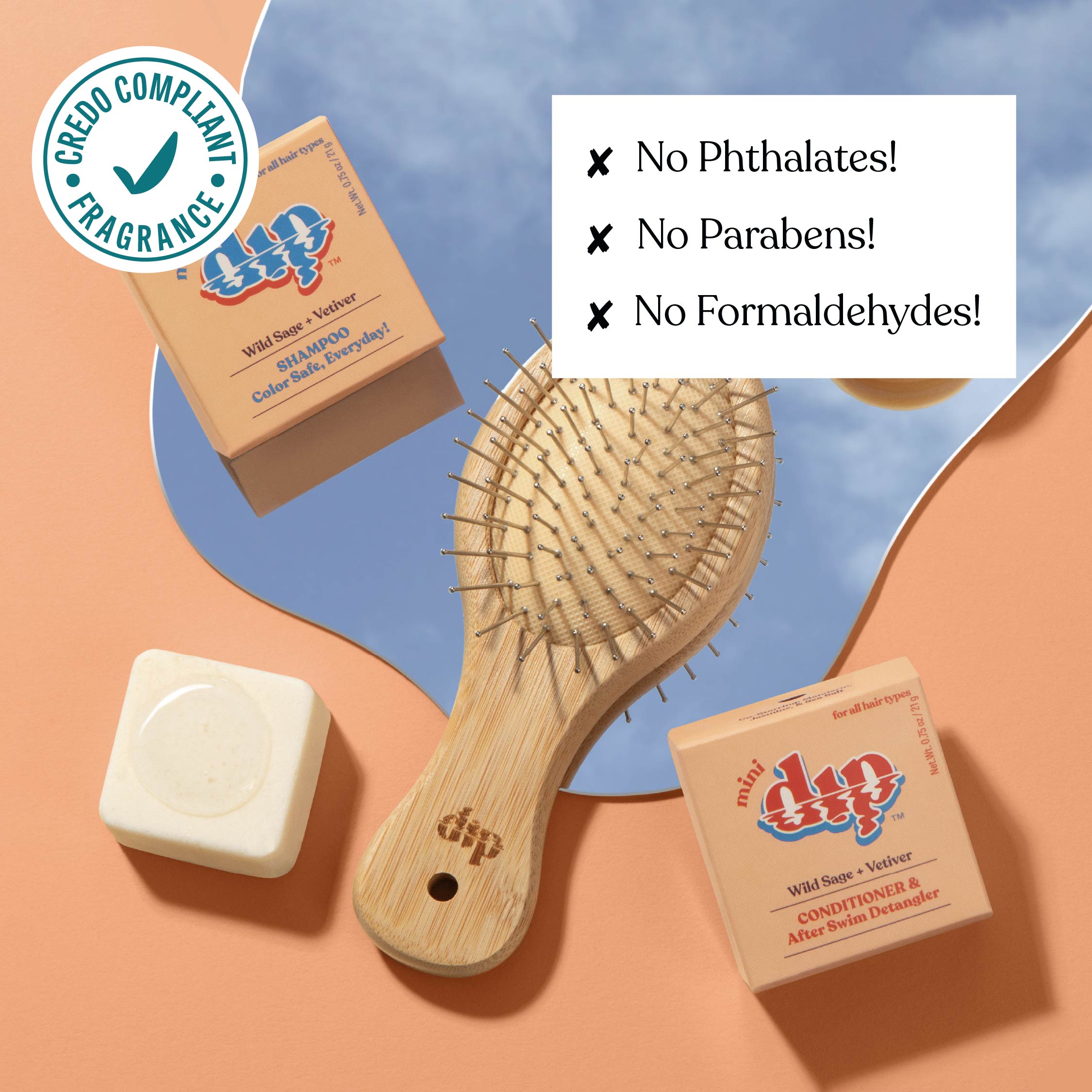 Mini Dip Shampoo Bar: Color Safe, Everyday - Wild Sage & Vetiver